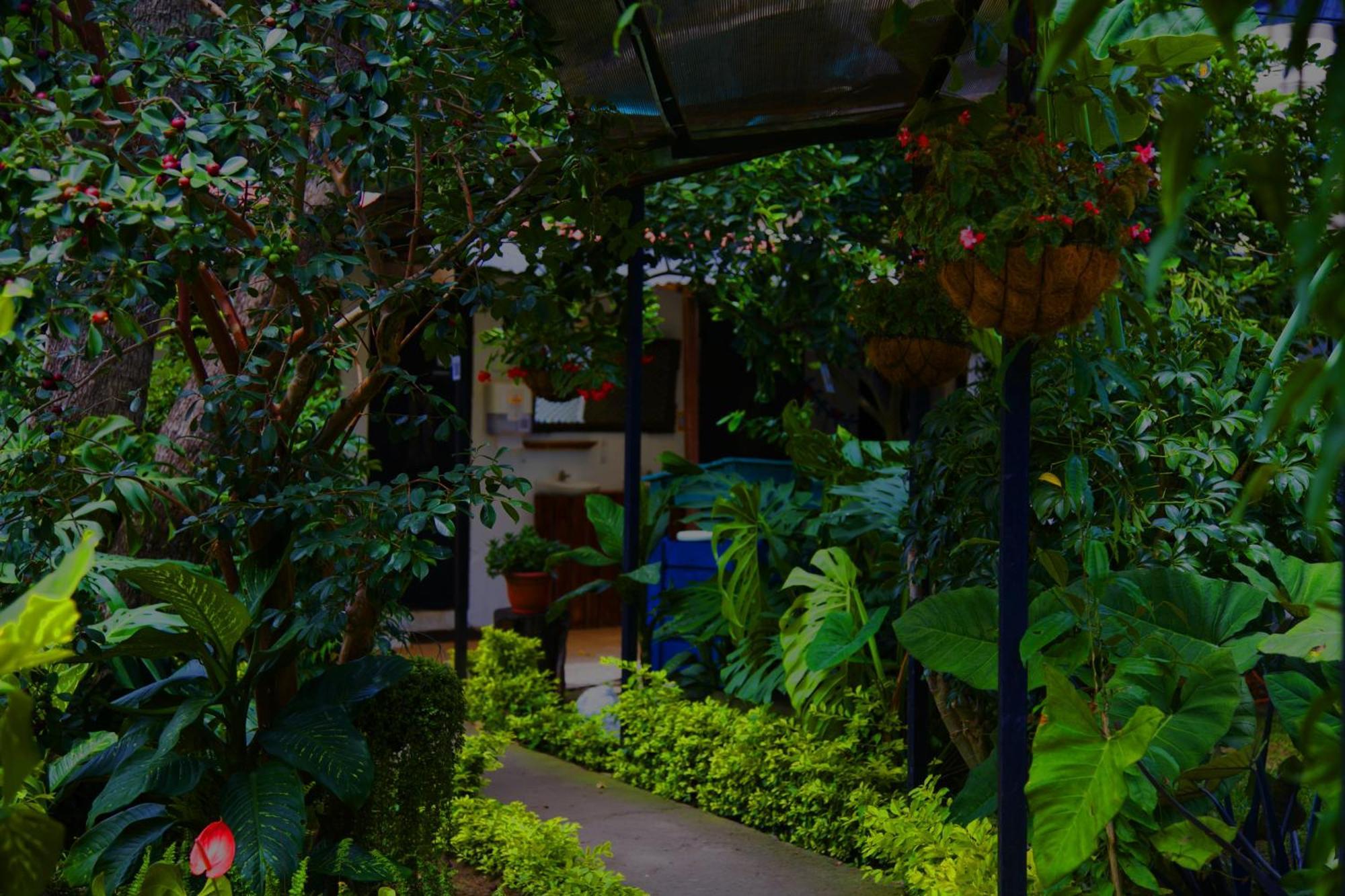 Hostal Antigueeno Antigua Eksteriør bilde